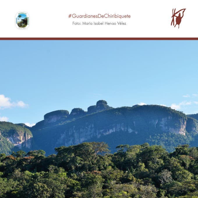 Parque Nacional Natural Chiribiquete: Ecoturismo en Colombia