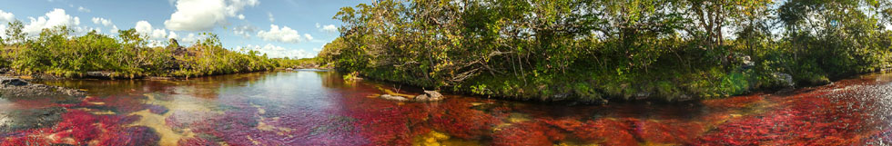 Caño Cristales Tour Package