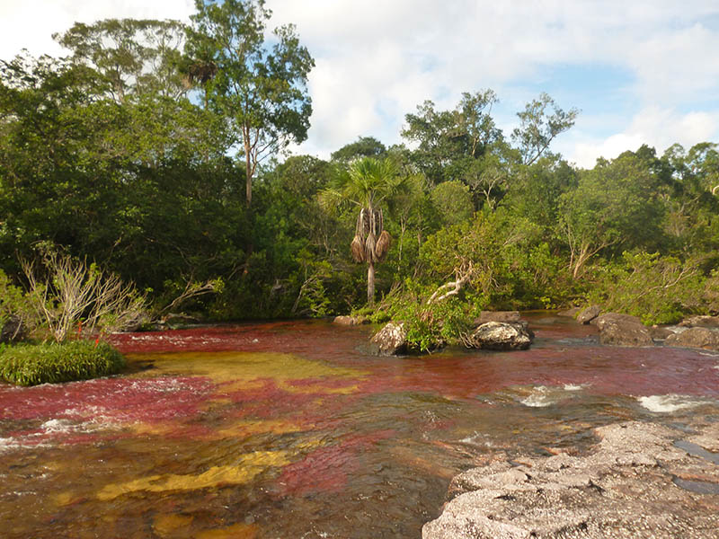 Caño Cristales en el parque nacional de la macarena