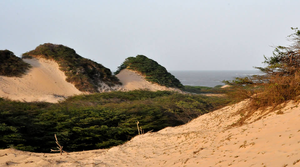 Parque nacional Macuira