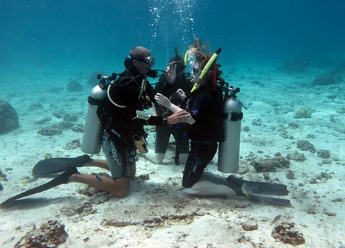 san-andres-buceo-colombia.webp