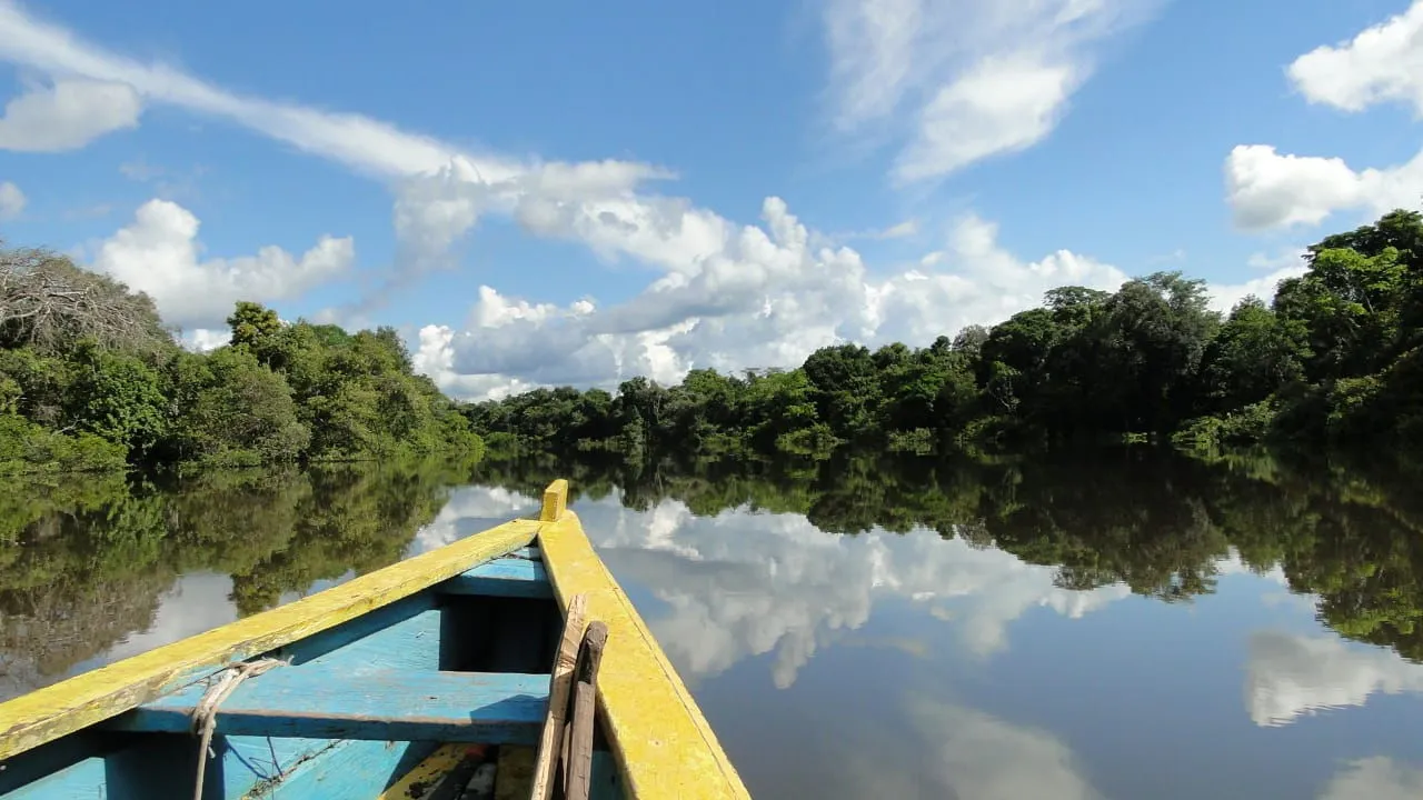 Aventura en el Amazonas