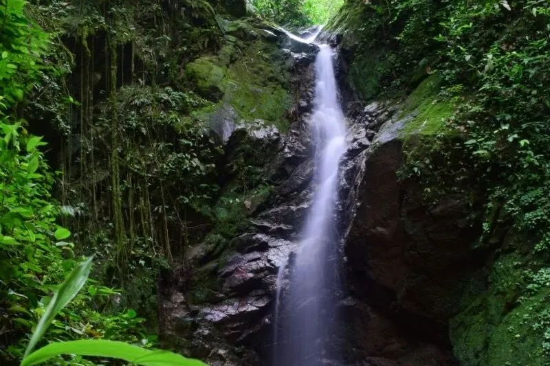 Pasadía Naturaleza y Cascadas en Ibagué
