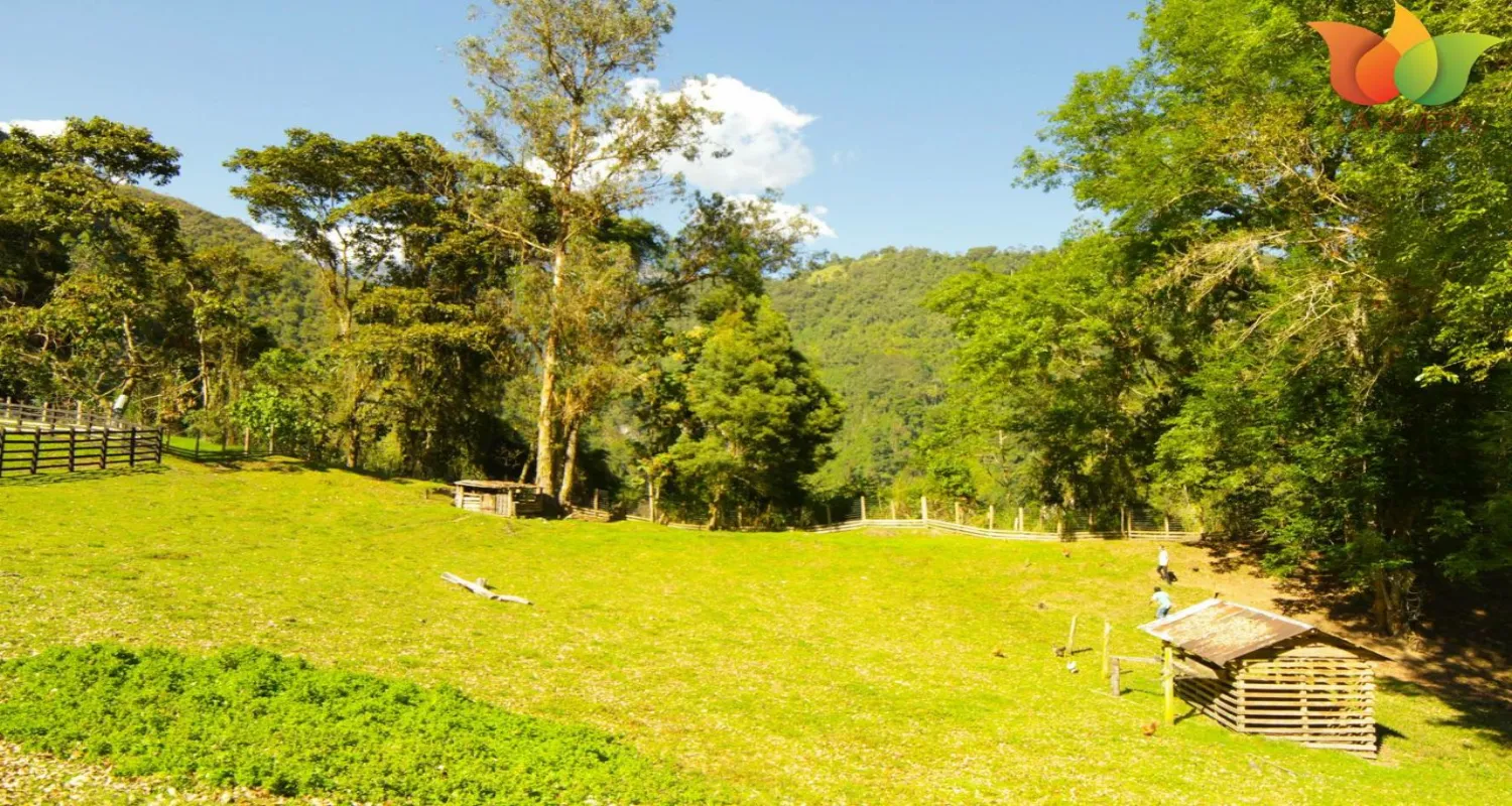 Jeep Tour al Cañón del Combeima