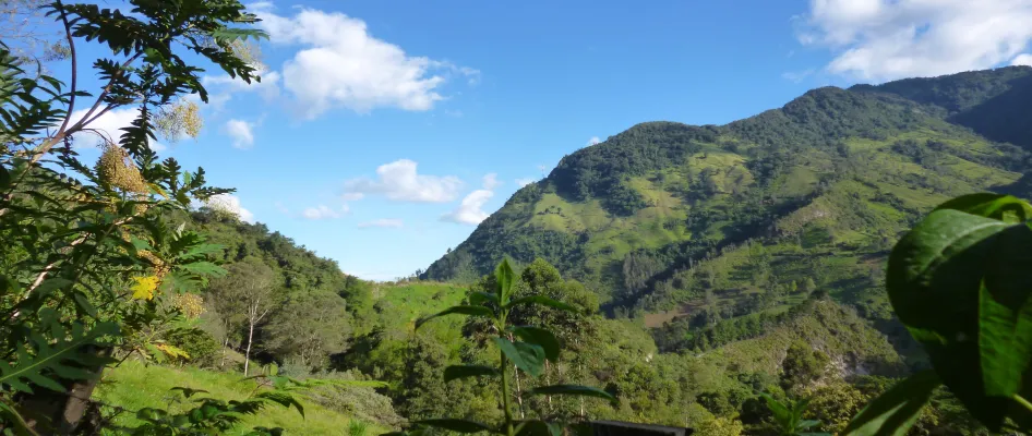 Ibagué 2 Noches 3 Días