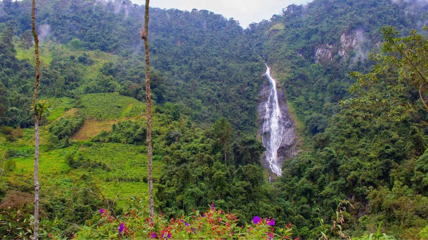 Pasadía Naturaleza y Cascadas en Ibagué