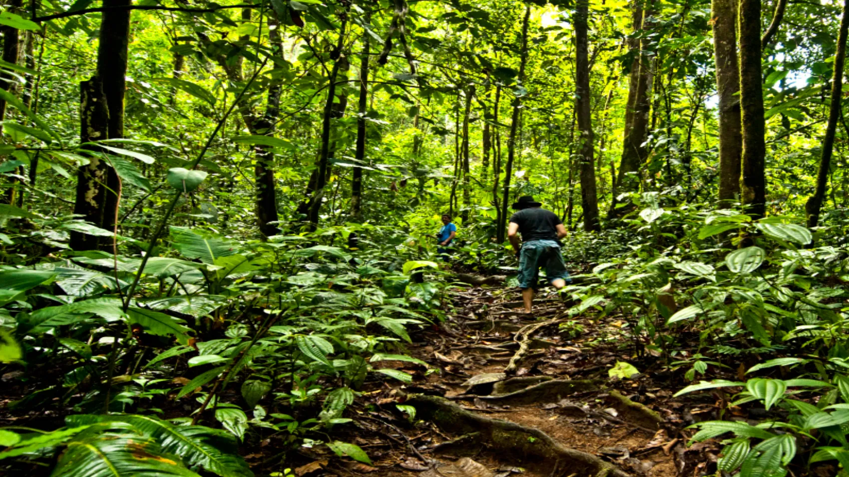 Plan Naturaleza y Aventura Bahía Solano