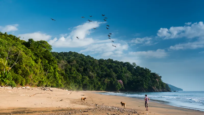 Bahía Solano en Navidad o Año Nuevo