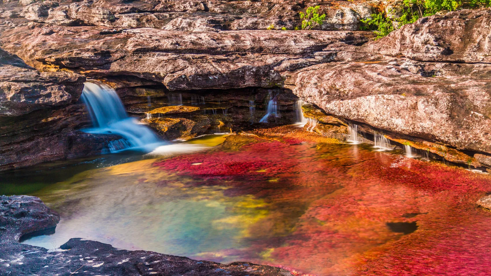 Caño Cristales 2 Noches 3 Días desde Villavicencio