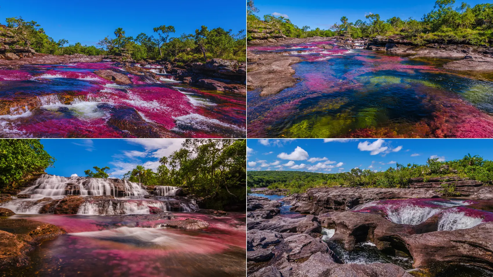 Caño Cristales 2 Noches 3 Días desde Bogotá