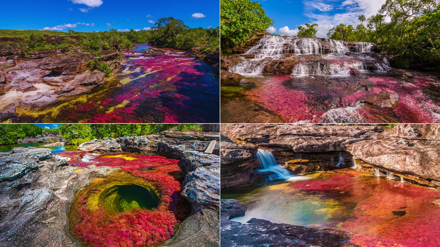Caño Cristales 3 Noches 4 Días desde Bogotá