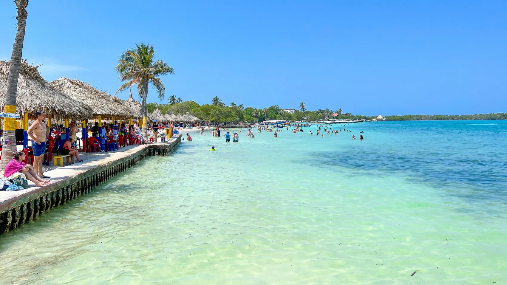 HEADERR-pasadia-isla-tintipan-desde-tolu-living-col.webp
