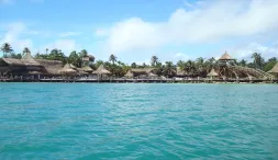 isla-mucura-planes-turisticos-desde-cartagena-livingcol.webp